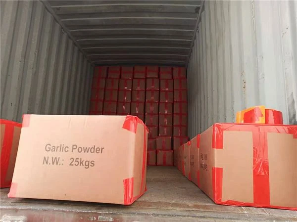 product-600-449