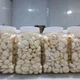Bawang Putih Dikupas Segar