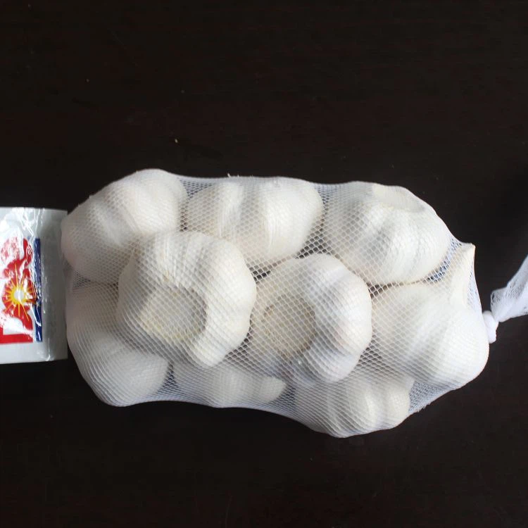 Bawang putih putih dari